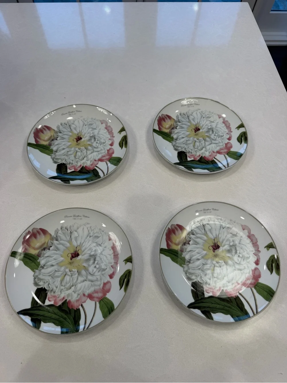 Williams Sonoma botanical peony set of four salad plates 2011
